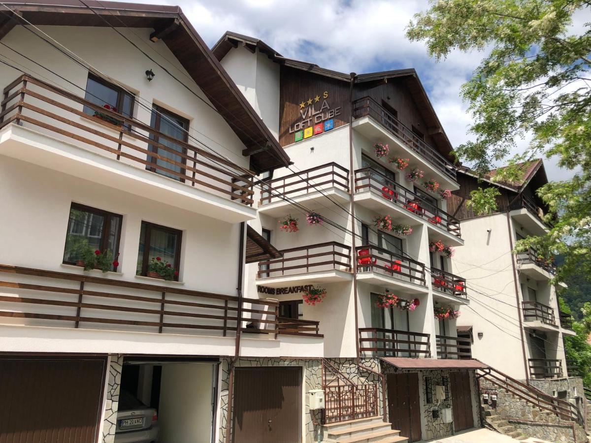 Vila Loft Cube Синая Экстерьер фото