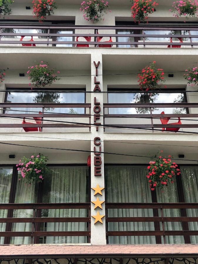 Vila Loft Cube Синая Экстерьер фото
